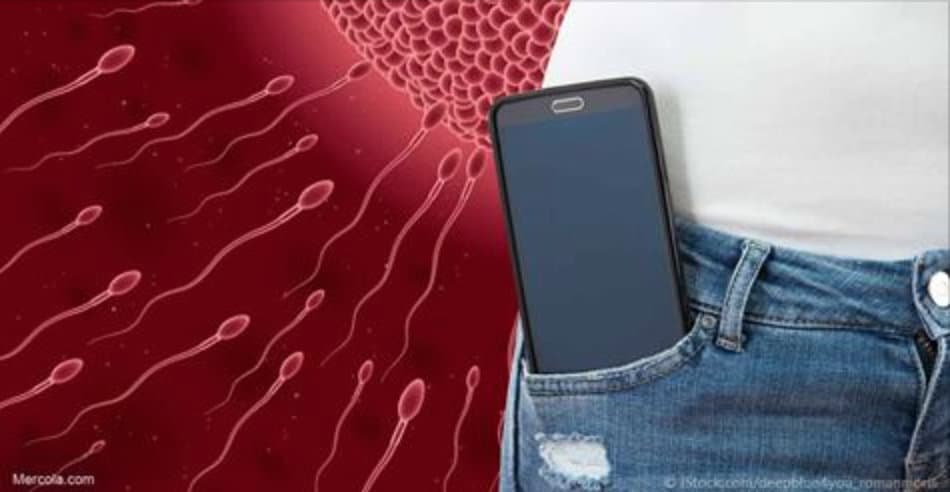 Entenda a relação entre o celular e a infertilidade masculina!