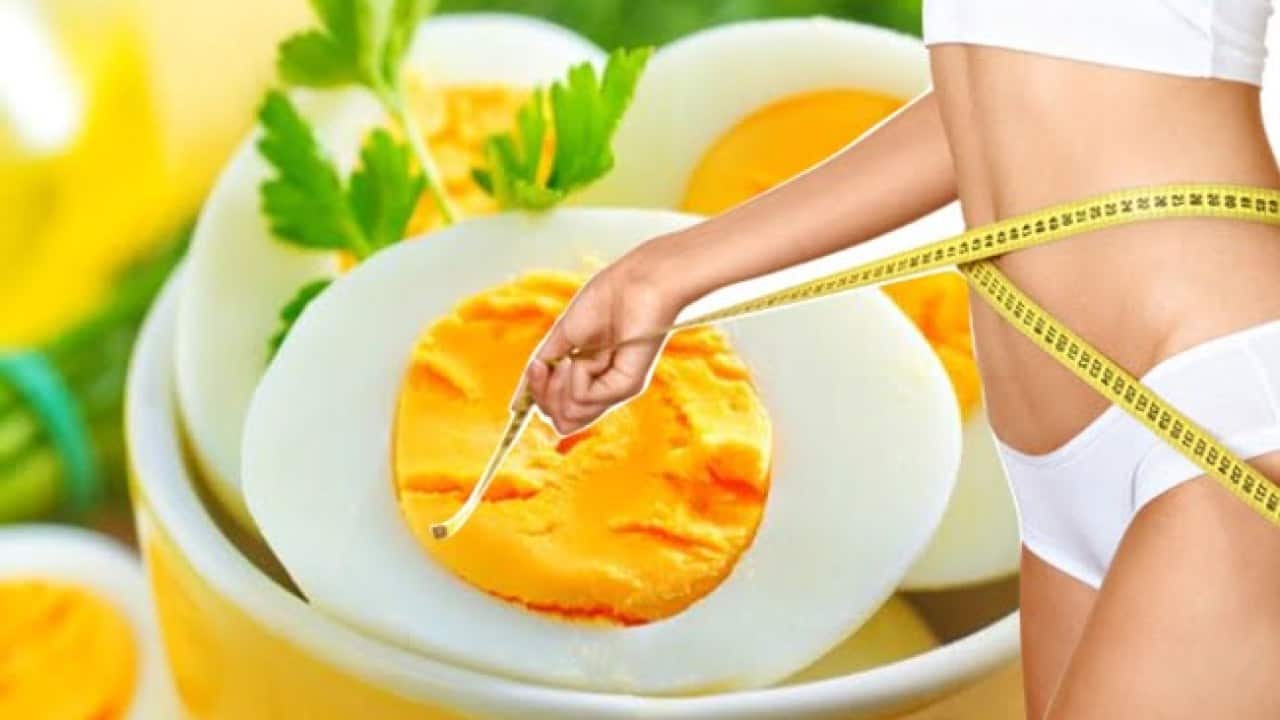 Dieta do ovo promete eliminar 14 quilos em 10 dias