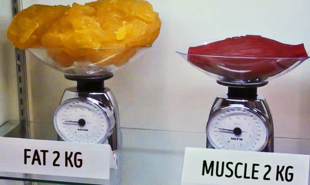 O que pesa mais na balança massa magra ou gordura?