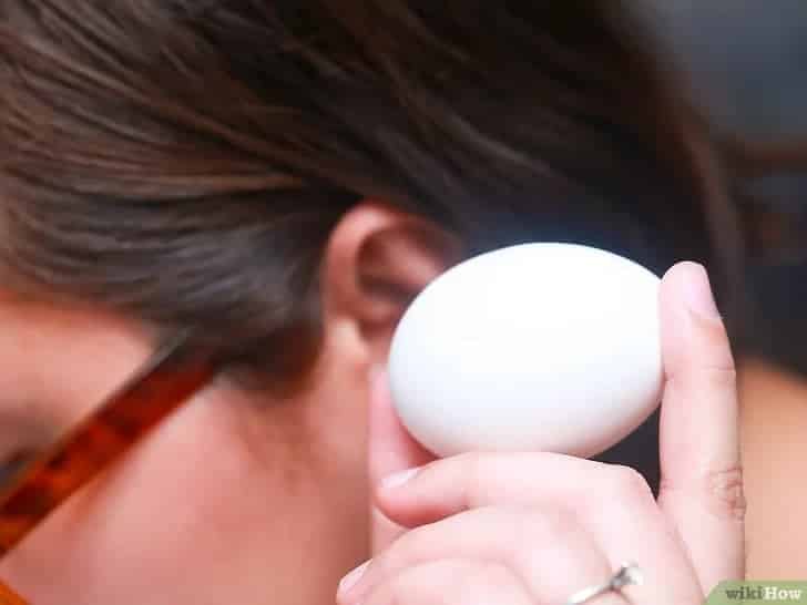 Como saber se o ovo está choco antes de quebrá-lo
