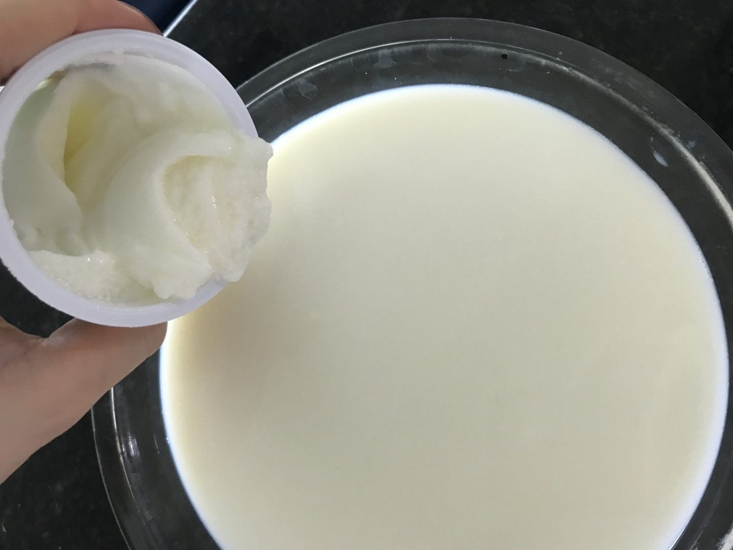Como fazer iogurte natural caseiro