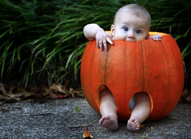 Fantasias de bebês para você morrer de fofura nesse Halloween