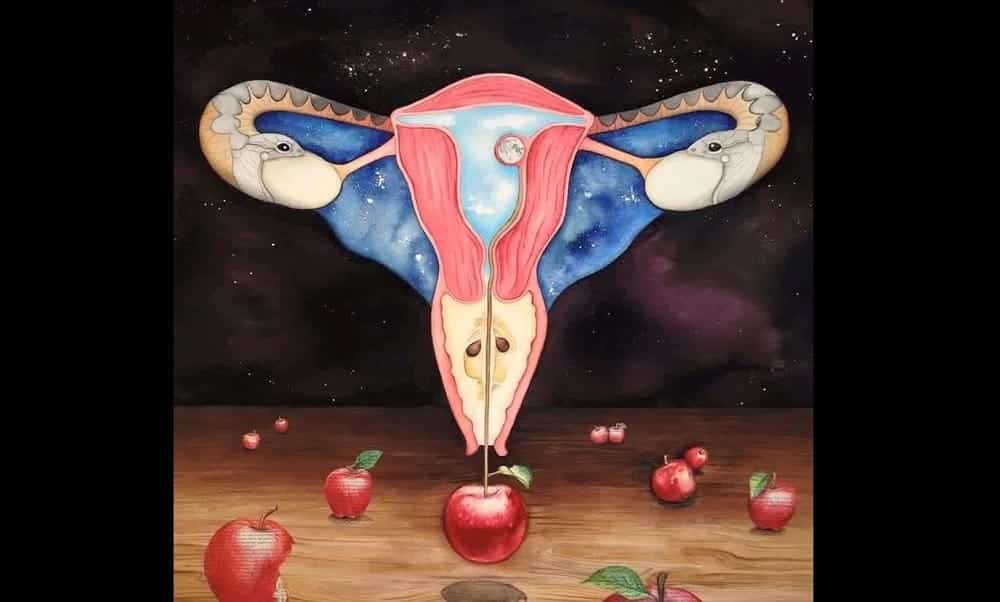 Realmente existe sincronização de ciclo menstrual?