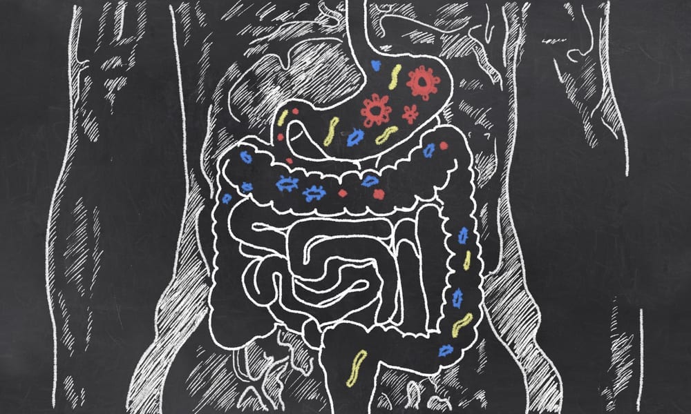 9 problemas de saúde que podem ser combatidos com probióticos