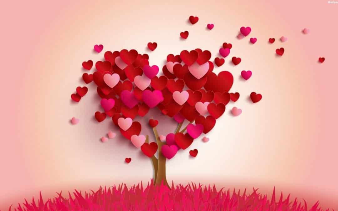 12 histórias de amor curiosas que vão tocar o seu coração