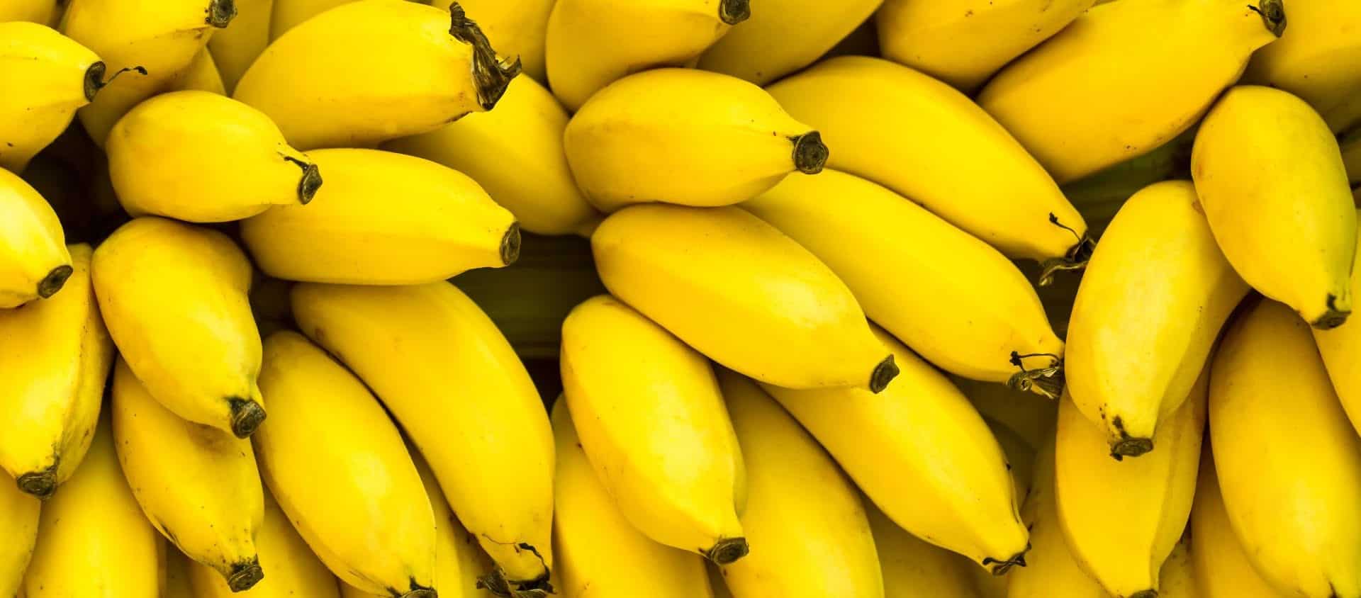 Dieta da banana- Para que serve, cardápio + 8 passos para fazer em casa