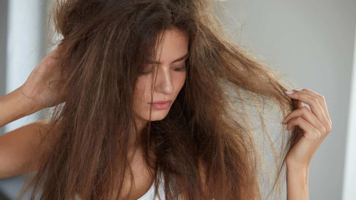 Cabelo poroso- O que é, como identificar e como tratar cada tipo de cabelo