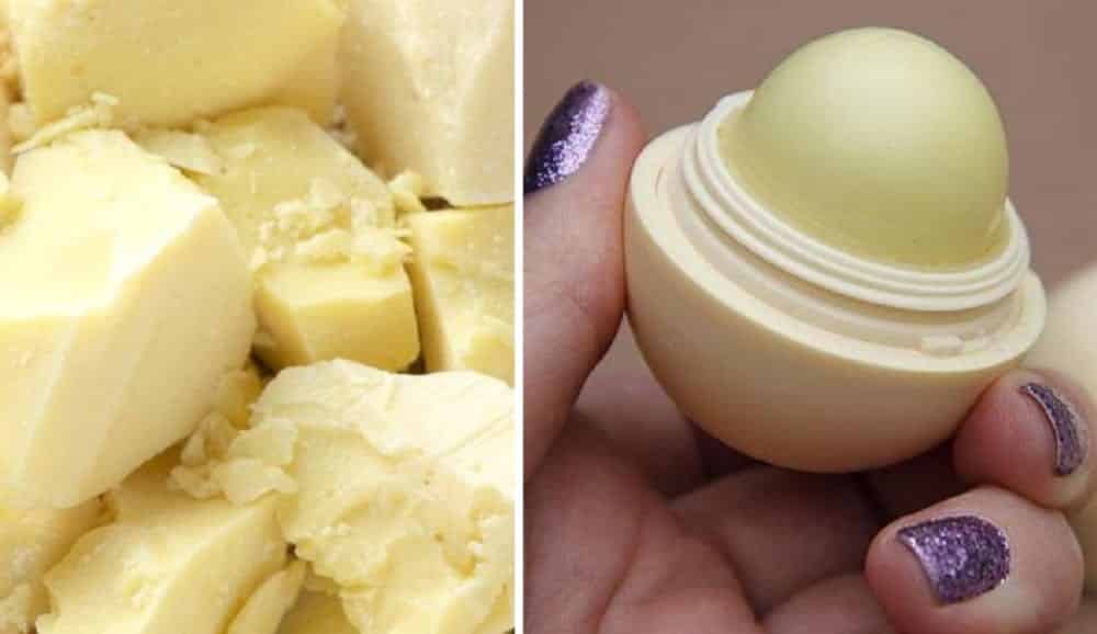 Manteiga de cacau, como é feita e 10 utilidades improváveis