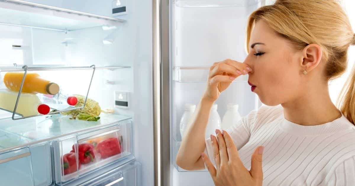 Mau cheiro na geladeira- dicas e truques de como tirar o odor
