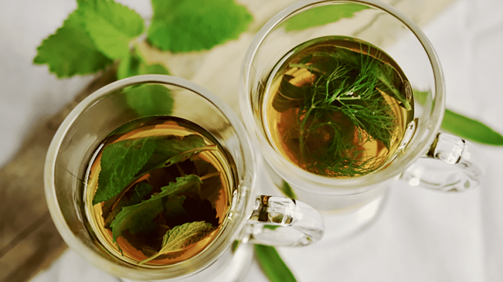 Chá de boldo- benefícios, propriedades, contraindicações e como fazer