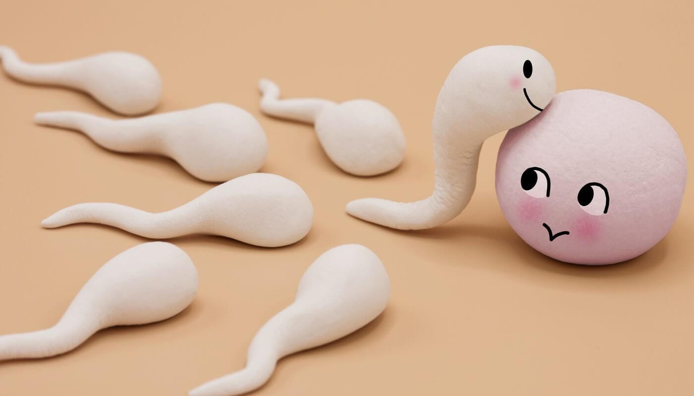 Chances de engravidar - Como é a fertilidade da mulher durante as fases da vida