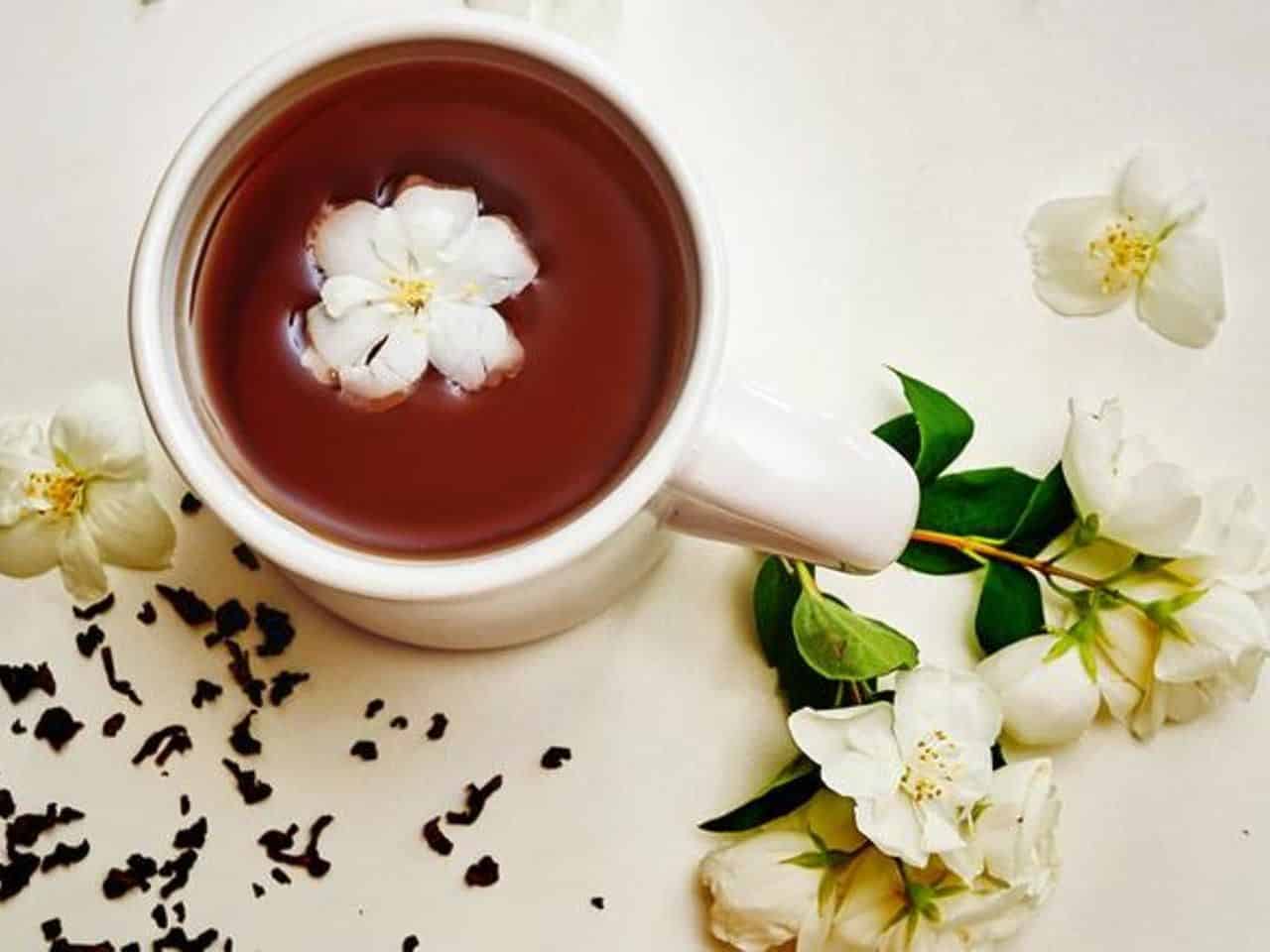 Chá de jasmim - Os benefícios do chá da flor de jasmim para a saúde