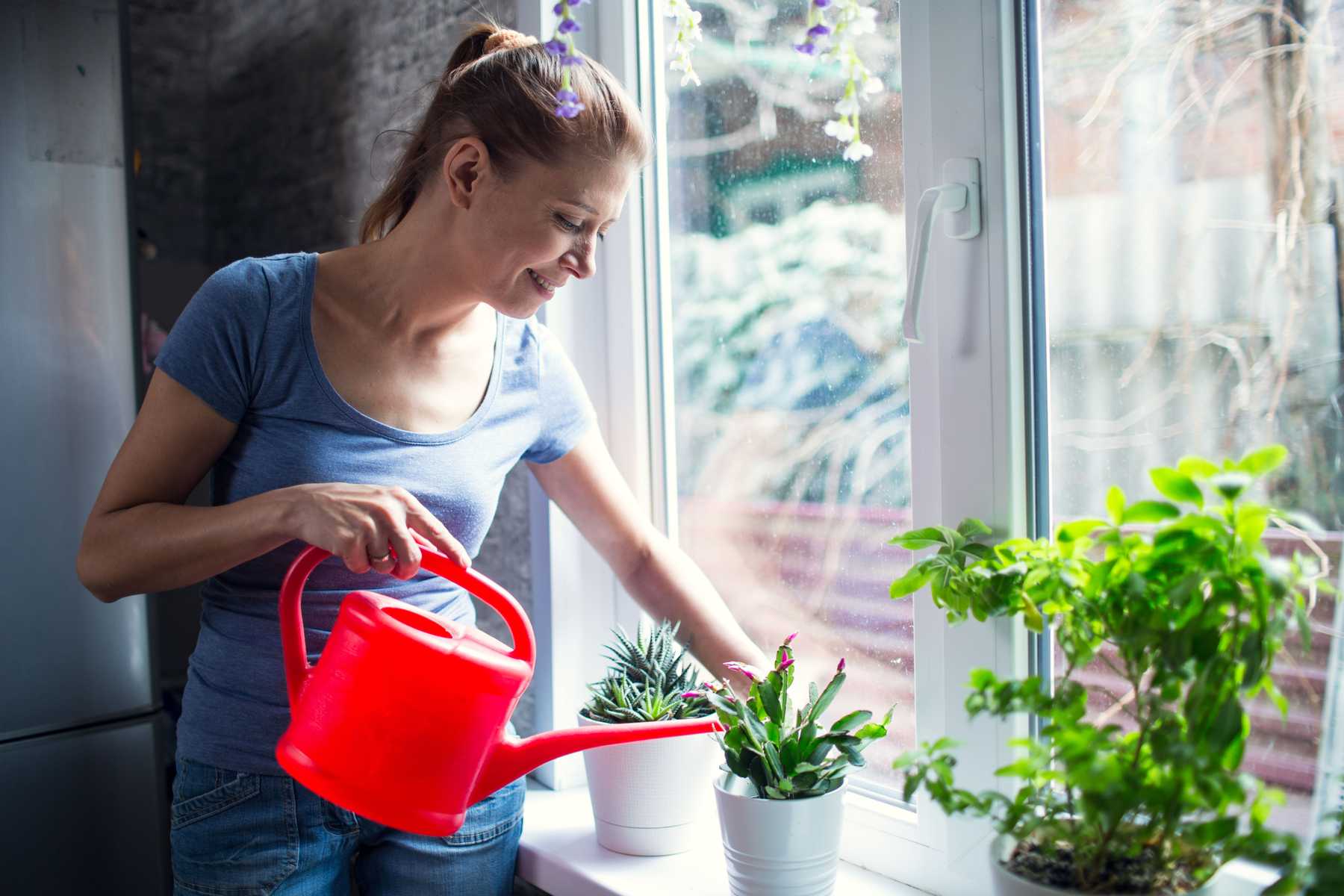 Horta em casa - Dicas de como plantar e cultivar hortaliças em casa