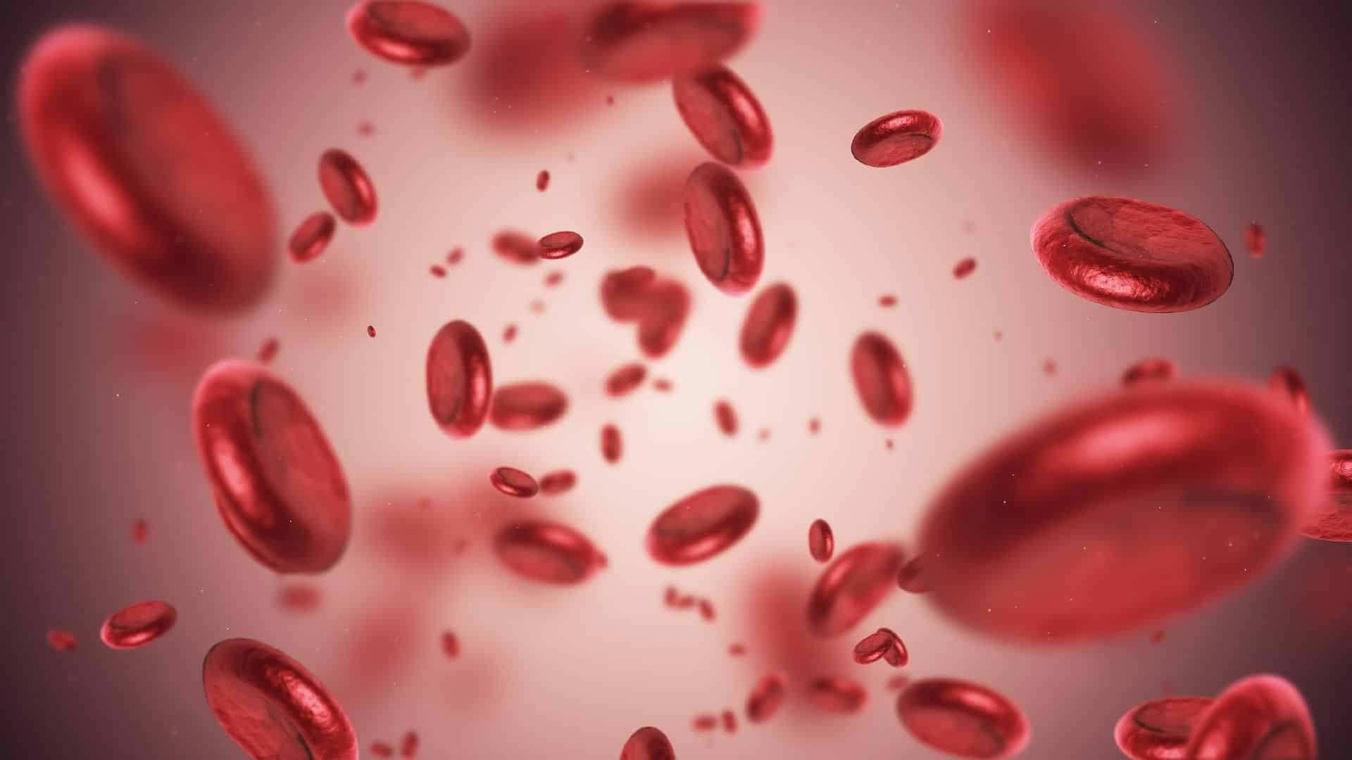 Glóbulos vermelhos