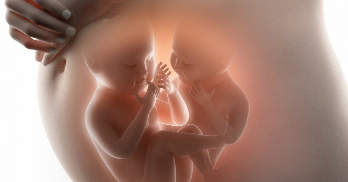 bebês na placenta