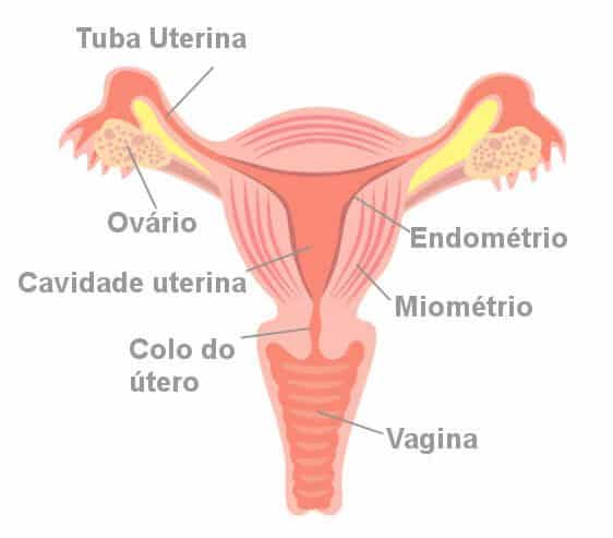 Pontadas no útero, quais as causas? O que fazer?