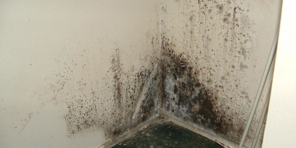 Como tirar cheiro de mofo – cômodos, objetos e paredes