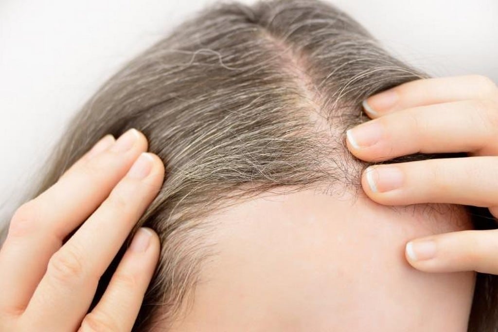 Retoque de raiz – Como retocar o cabelo em casa