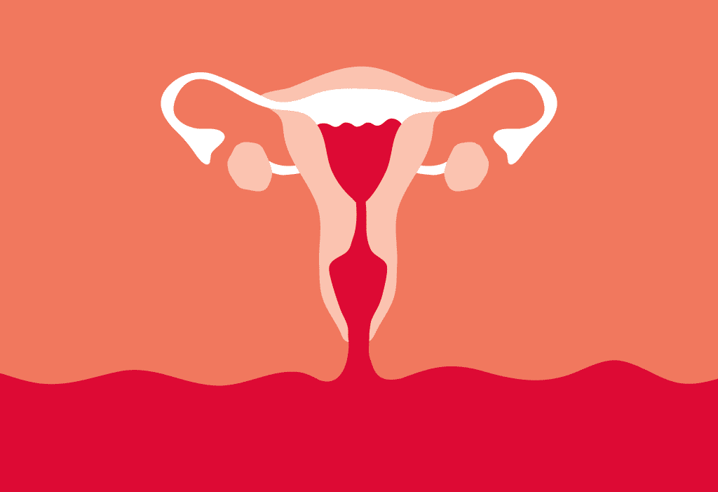 Fluxo menstrual — volume, intensidade, fases, cores e irregularidades