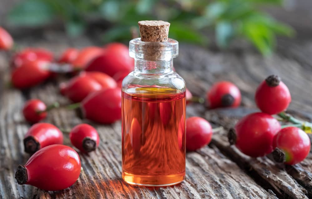 Como usar óleo de rosa mosqueta? Benefícios para pele