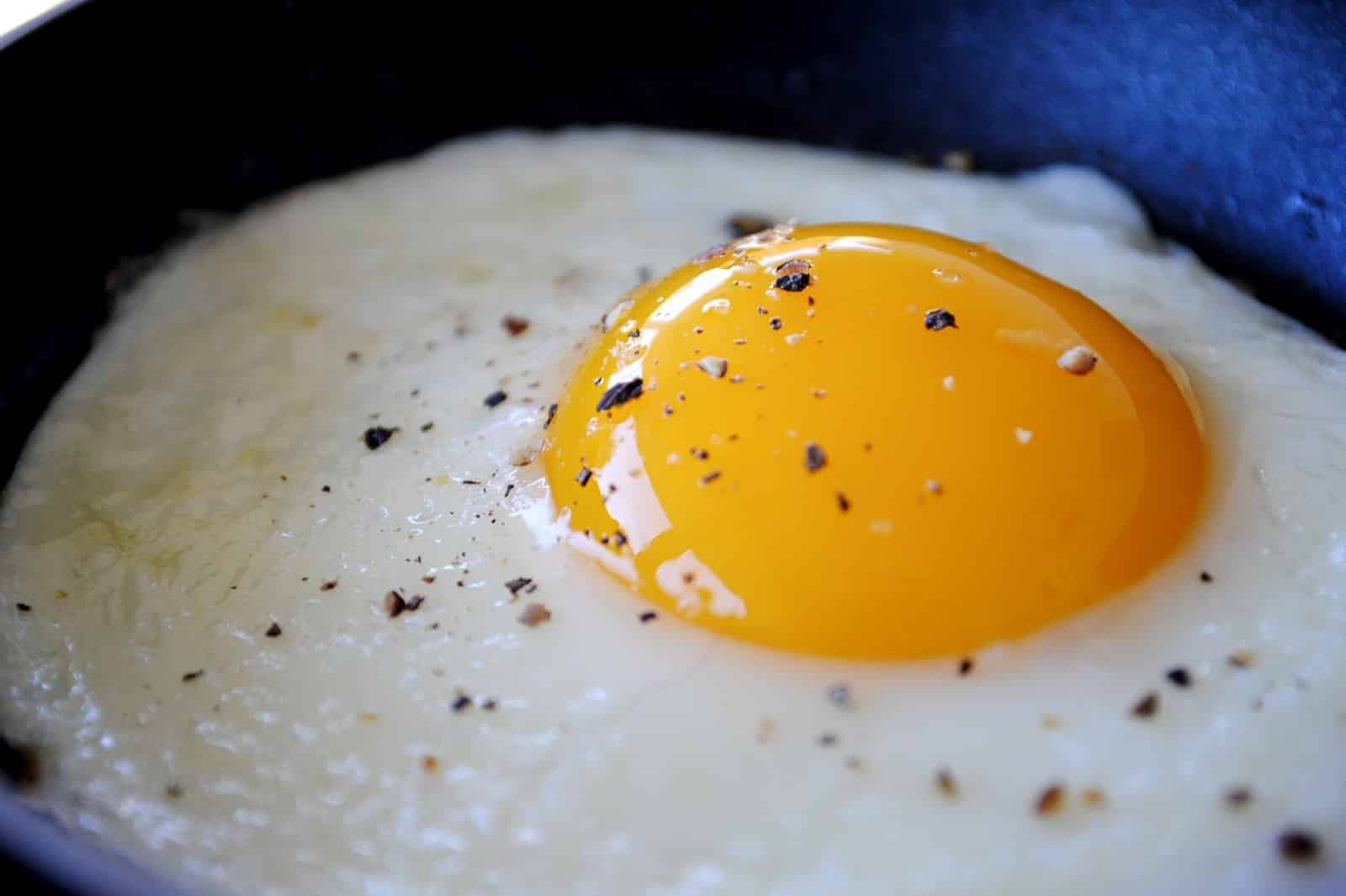 Como fazer ovo no micro-ondas? Receitas fáceis e práticas