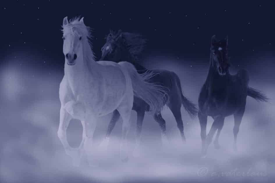 Significado do sonho com cavalo: confira as várias interpretações