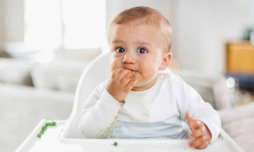 Rotina alimentar do bebê: horários e intervalos certos