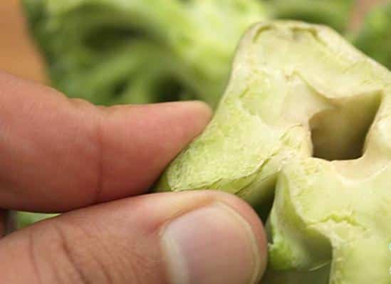 Brócolis estragados: 4 dicas para saber quando jogar fora