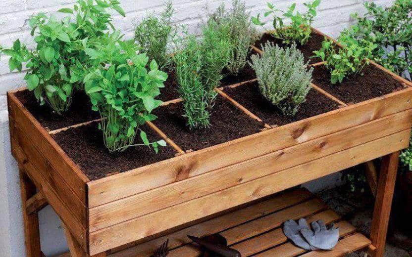 Como fazer horta em casa: passo a passo, o que plantar +inspirações