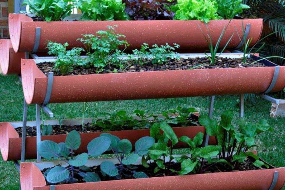 Como fazer horta em casa: passo a passo, o que plantar +inspirações
