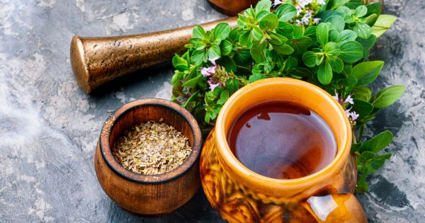 Chá de orégano: conheça os mitos, verdades e benefícios