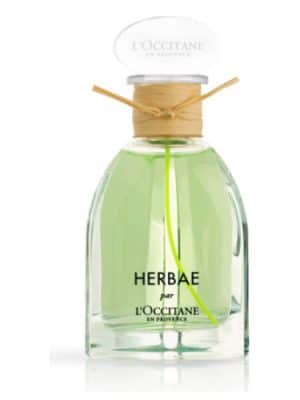 Herbae - L'occitane - perfumes para o inverno